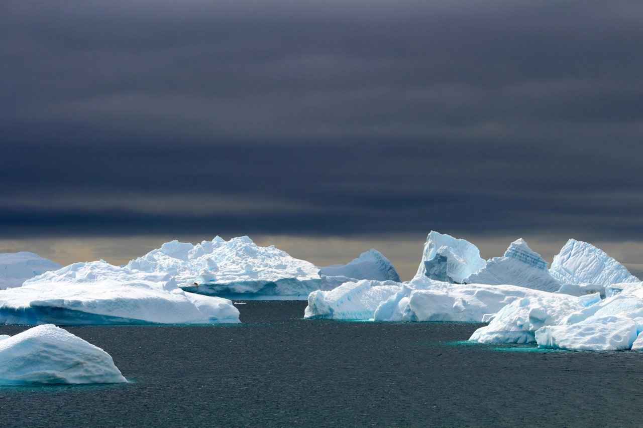 Icebergs, scarred by calving from massive glaciers, then shaped by salt water and sunshine, create ethereal seascapes that change by the minute, all set against dramatic Antarctic skies. Photo: Miranda Miller
