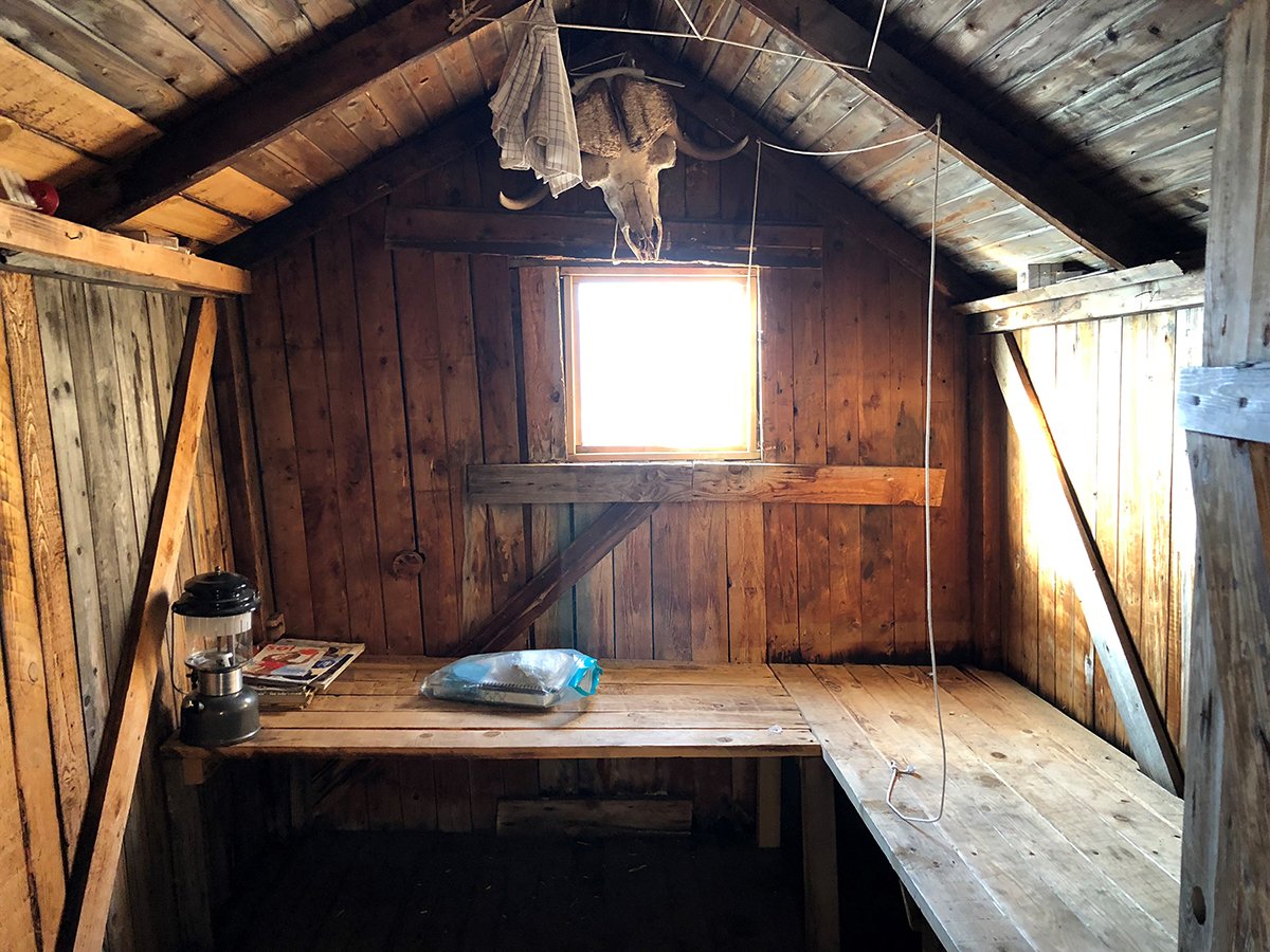 Interior of abandoned trapper hut at Blomster Bugt from the 1900&apos;s. Photo by Acacia Johnson