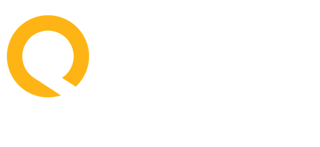 quark logo