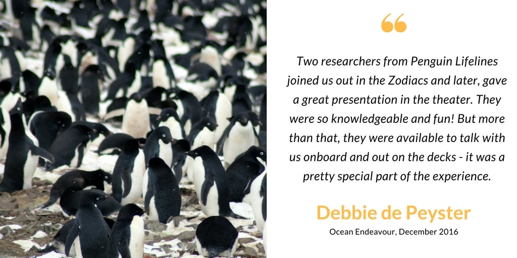 Antarctic passenger on penguinologists