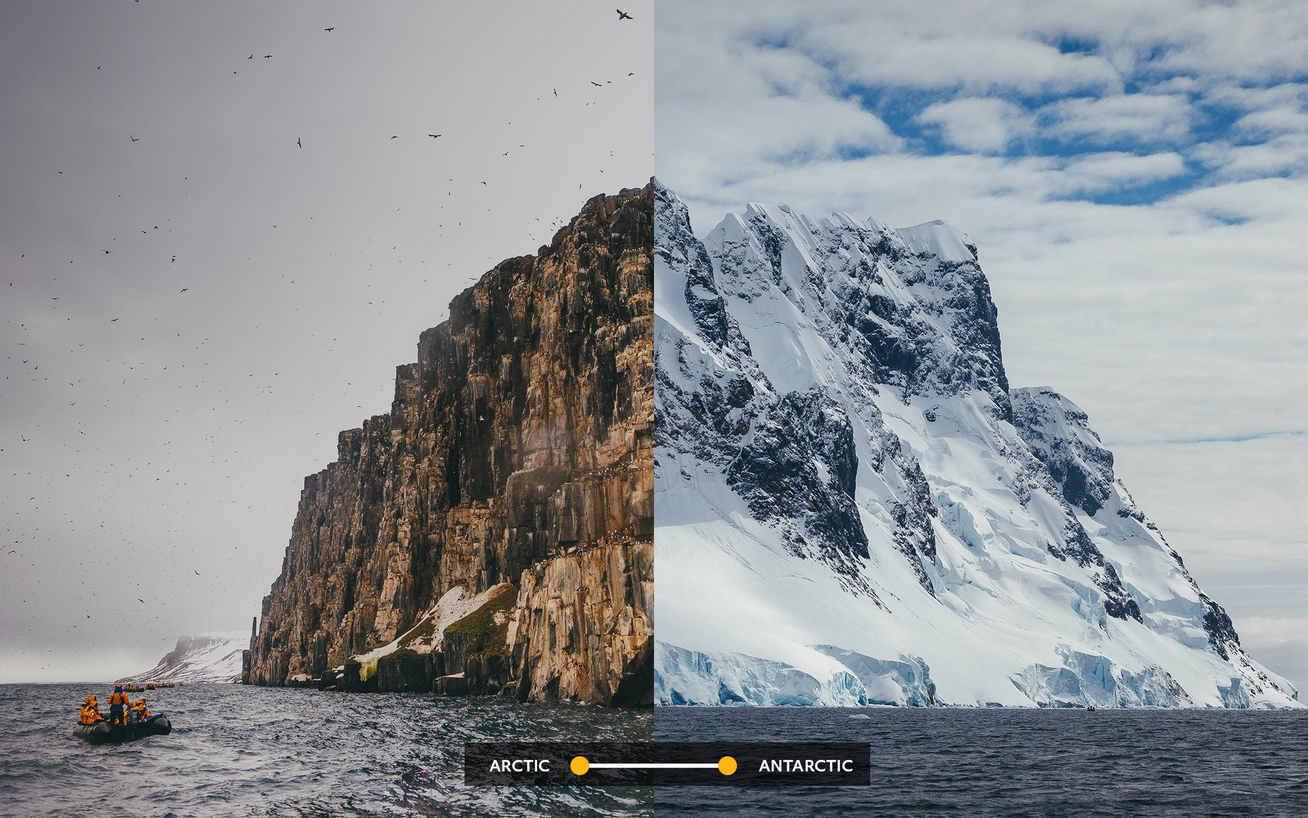 Arctic vs. Antarctic Cruises: Choosing Your Polar Trip