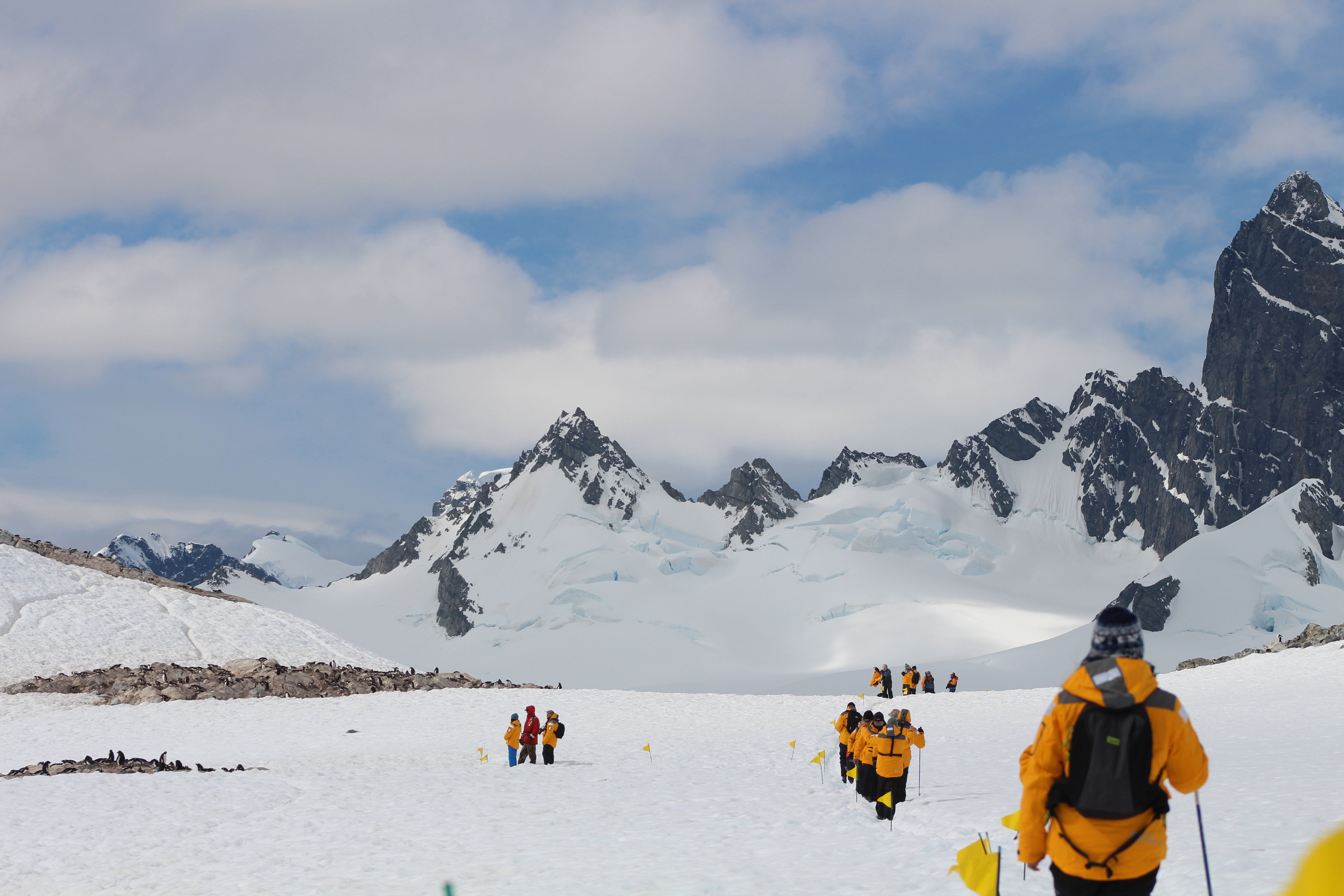 Penguinologist Dr. Tom Hart visits a gentoo penguin colony at Cuverville Island with passengers on a December 2016 Antarctic Explorer: Discovering the 7th Continent expedition. Photo: Miranda Miller