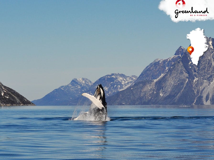 Quark Expeditions guests can experience photographic moments like this on Zodiac excursions in Greenland.