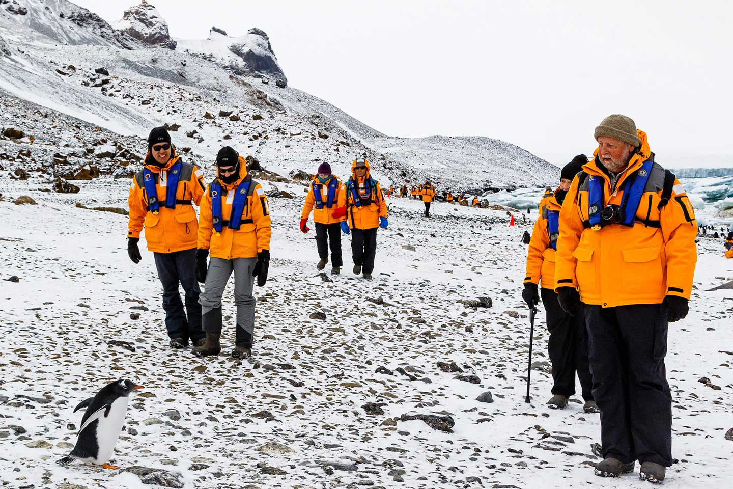 Hiking in Antarctica is geared to all ages and levels of fitness. Everyone gets to participate!