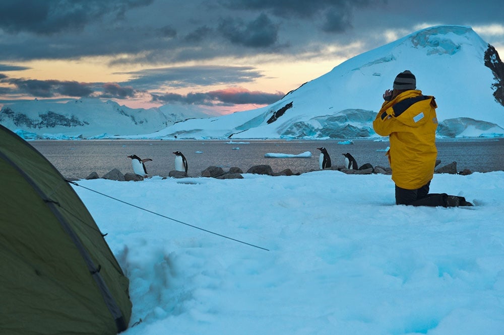 Get up close and personal with unique, inquisitive wildlife in Antarctica.